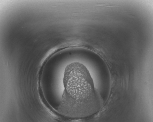 X0000061720054200512092011