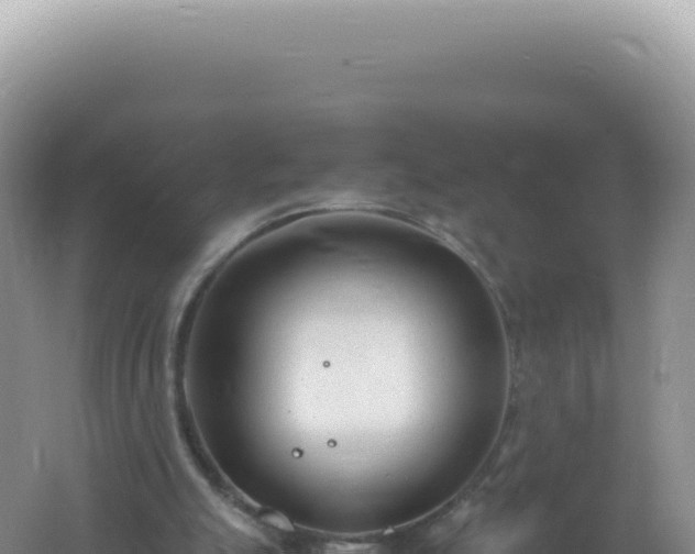 X0000061720055200512092011