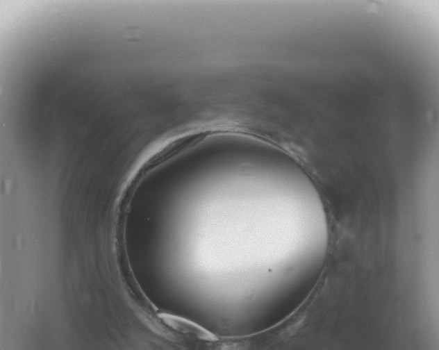 X0000061720056200512092011