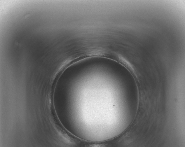 X0000061720059200512092011