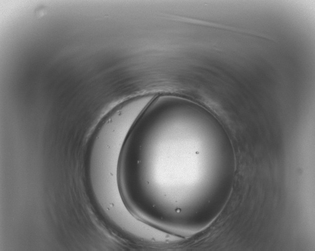 X0000061720060200512092011