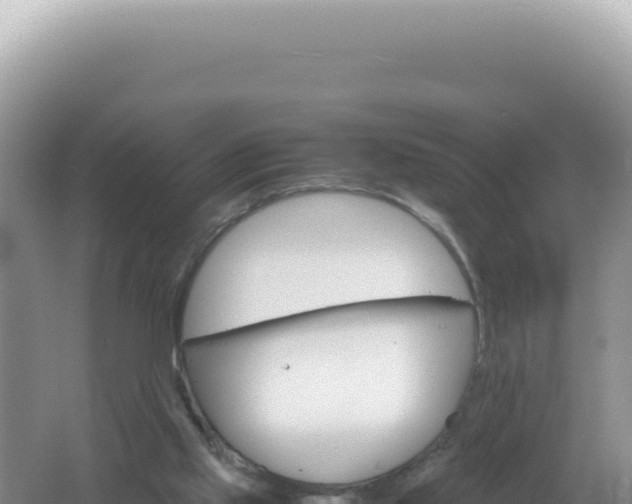 X0000061720061200512092011