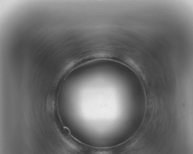 X0000061720063200512092011