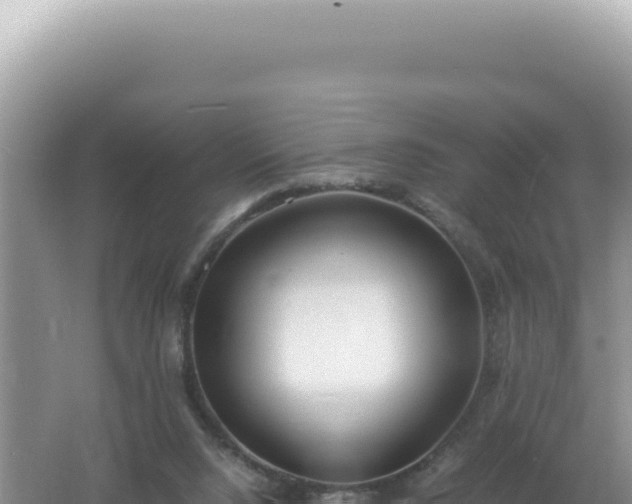 X0000061720064200512092011