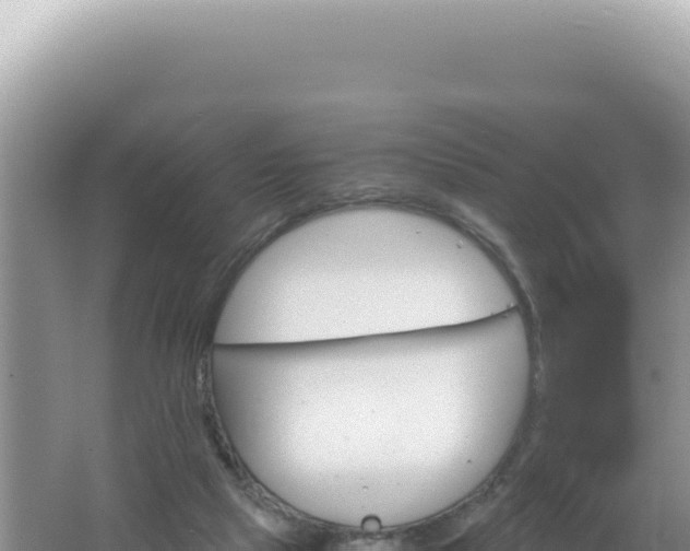 X0000061720065200512092011