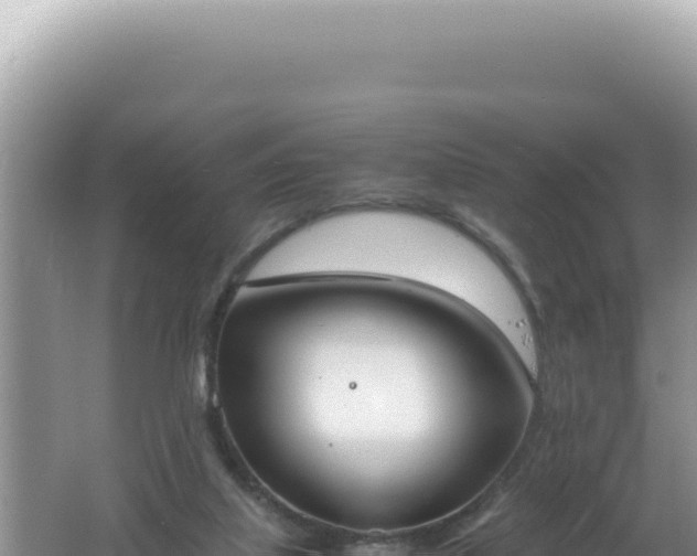 X0000061720067200512092011