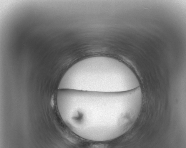 X0000061720069200512092011