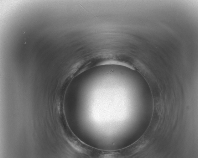 X0000061720072200512092011