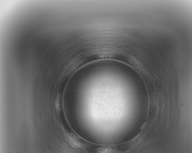 X0000061720074200512092011