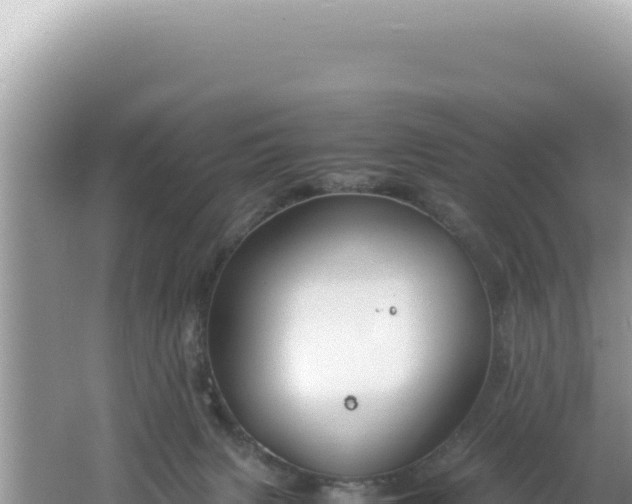 X0000061720079200512092011