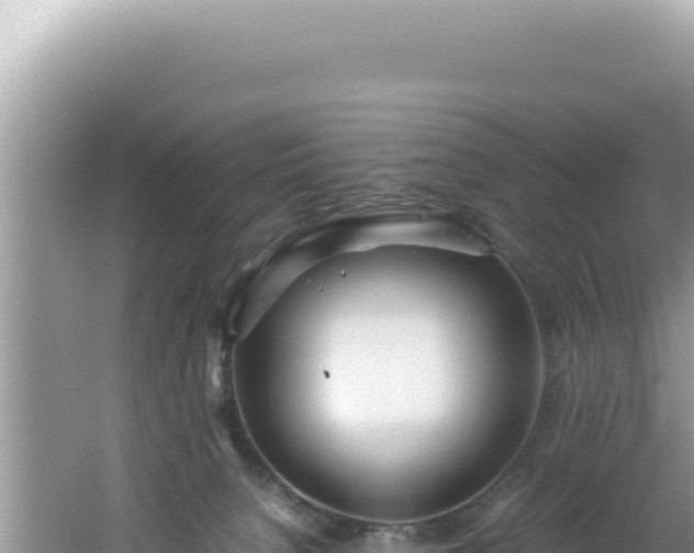 X0000061720080200512092011