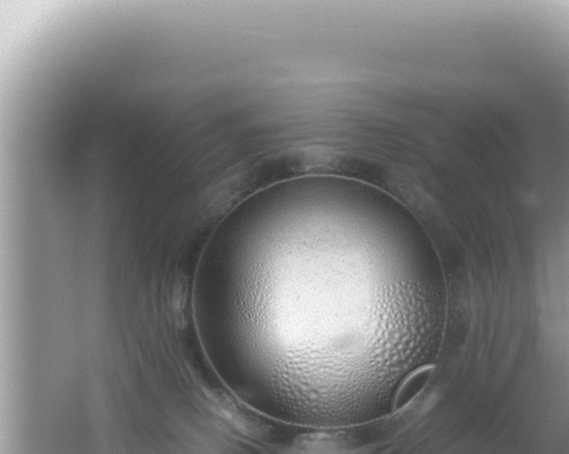 X0000061720082200512092011