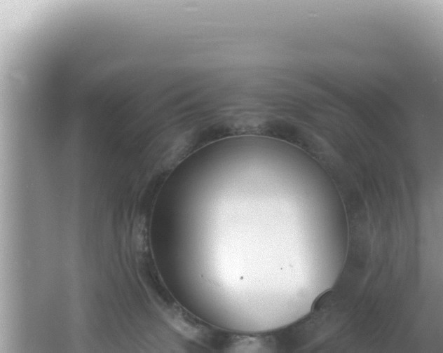 X0000061720083200512092011