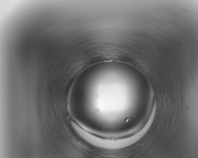 X0000061720084200512092011