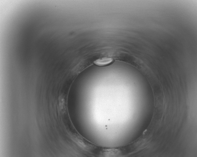 X0000061720087200512092011