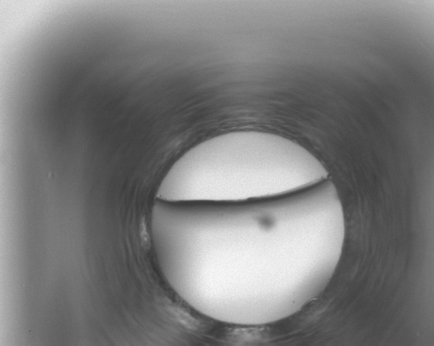 X0000061720089200512092011