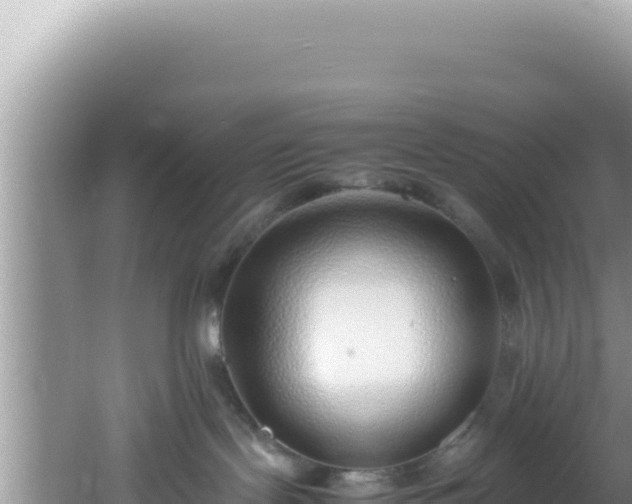 X0000061720095200512092012