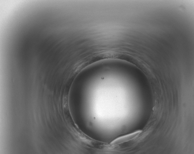 X0000061720096200512092012