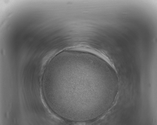 X0000061720097200512092011