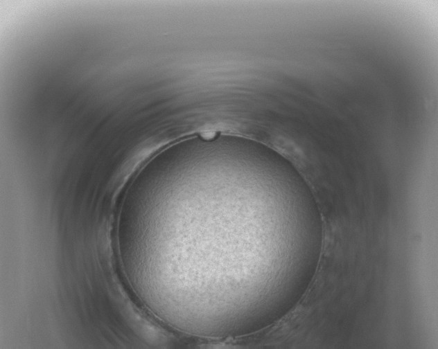 X0000061720098200512092011