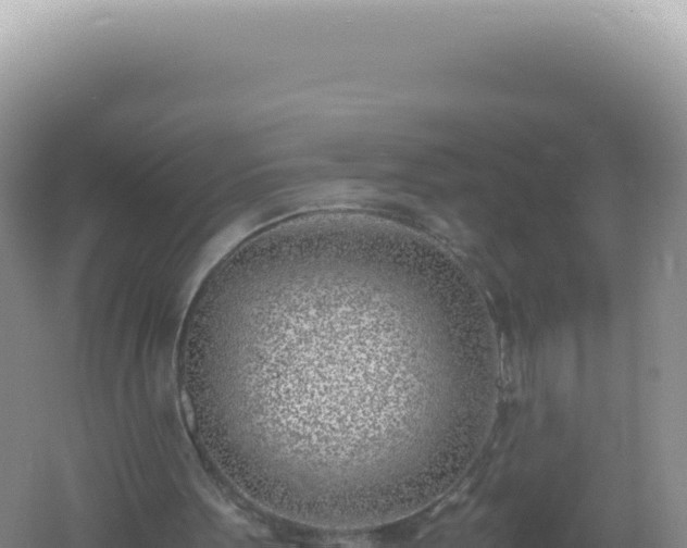 X0000061720099200512092011