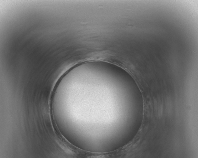 X0000061720100200512092011