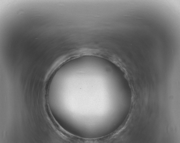 X0000061720101200512092011