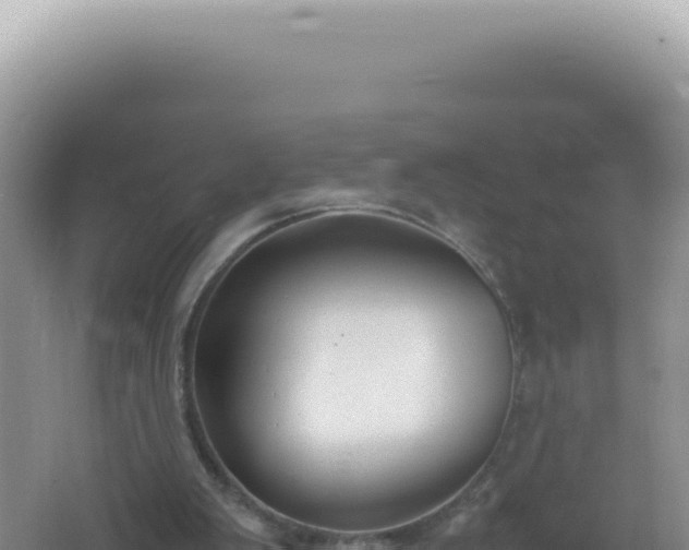 X0000061720103200512092011