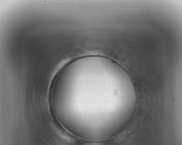 X0000061720104200512092011