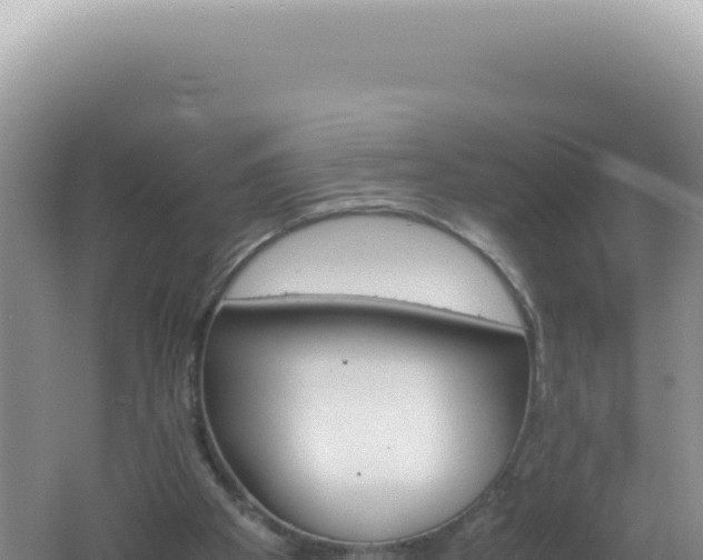 X0000061720105200512092011