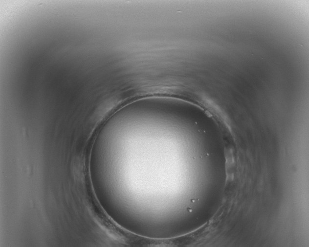 X0000061720107200512092011