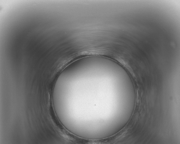 X0000061720109200512092011