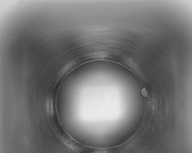 X0000061720110200512092011