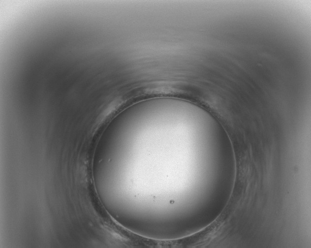 X0000061720111200512092011