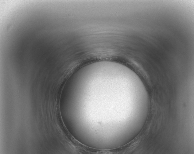 X0000061720113200512092010