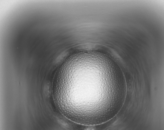 X0000061720119200512092010