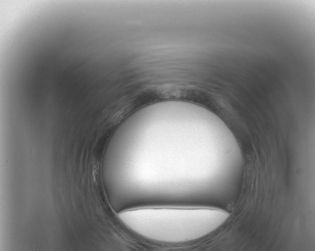 X0000061720125200512092010