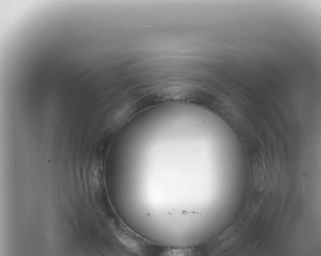 X0000061720126200512092010