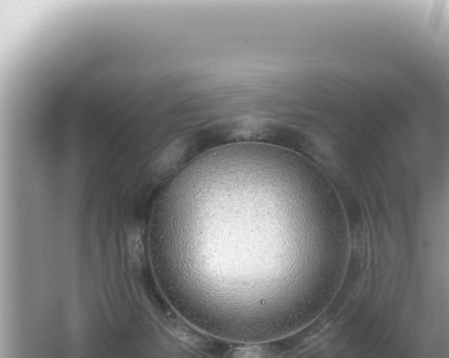 X0000061720127200512092010