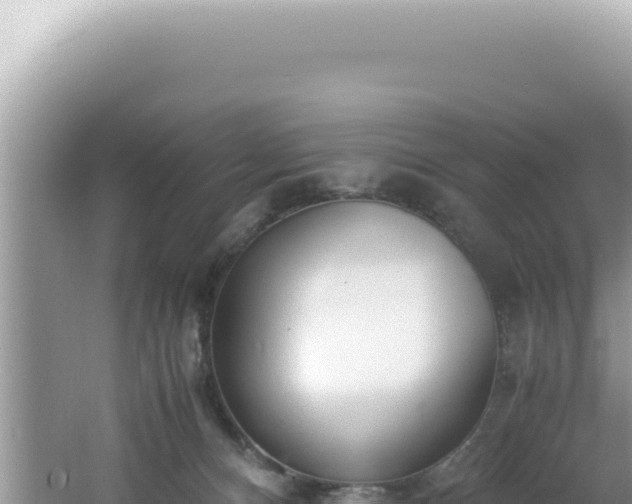 X0000061720128200512092010