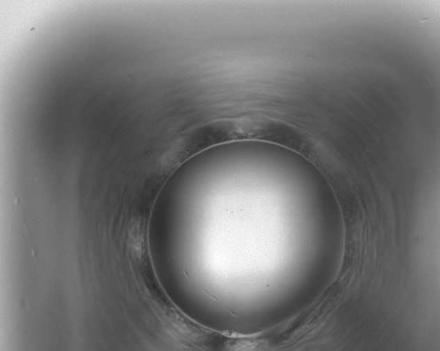 X0000061720129200512092010