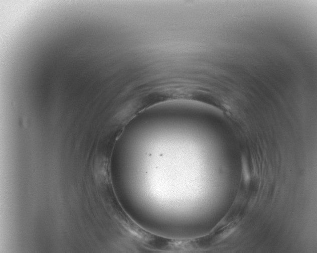 X0000061720141200512092010