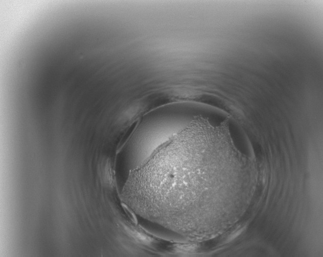 X0000061720143200512092010