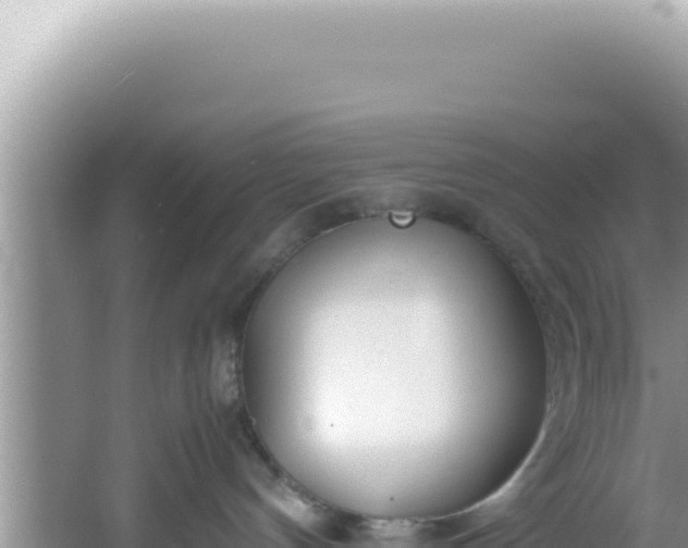 X0000061720144200512092010