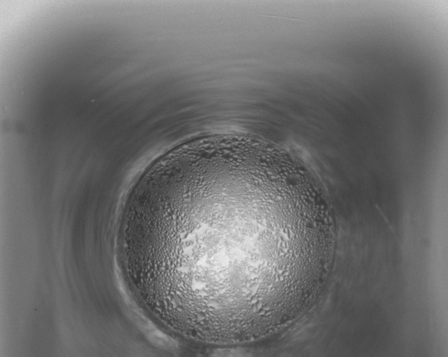 X0000061720145200512092009