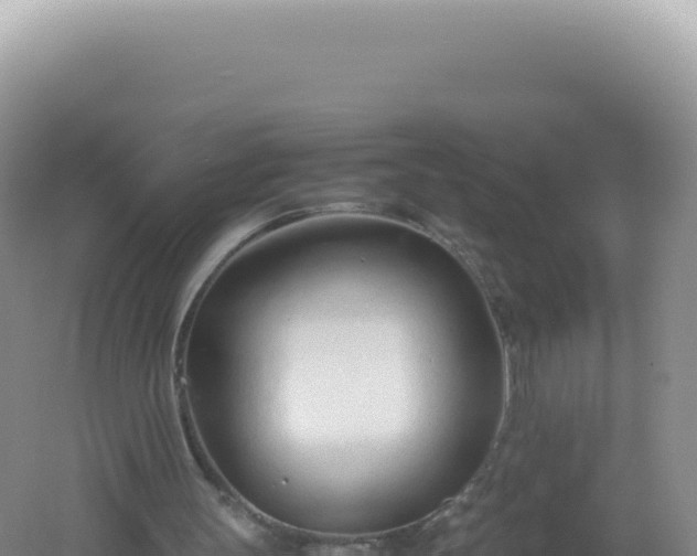 X0000061720147200512092009