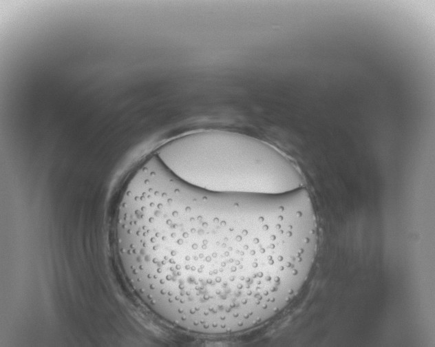 X0000061720149200512092009