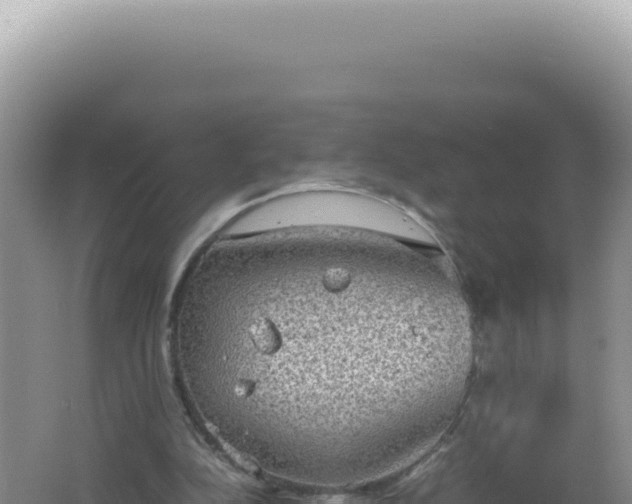 X0000061720152200512092009