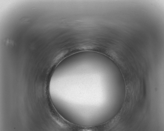 X0000061720159200512092009