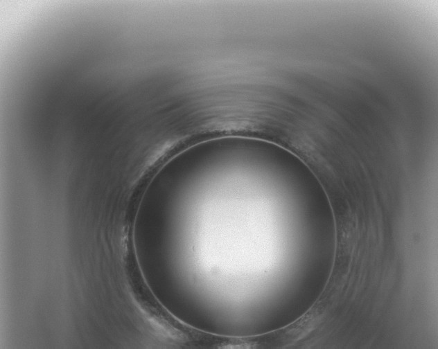 X0000061720160200512092009